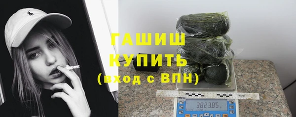 ECSTASY Елизово