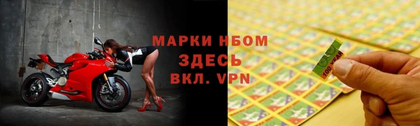 молекула духа Няндома