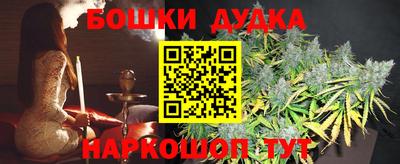 индика Кунгур