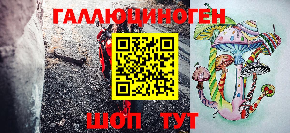 Псилоцибиновые грибы Psilocybe  Вход с VPN  Саяногорск 