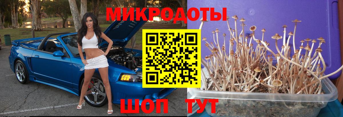 Псилоцибиновые грибы ЛСД Саяногорск