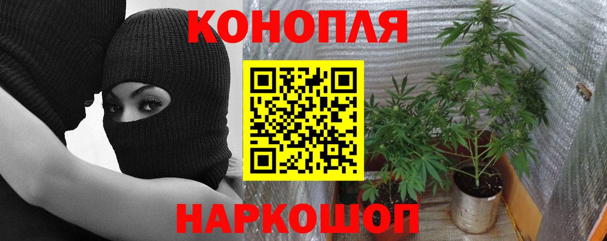 Бошки Шишки семена Саяногорск